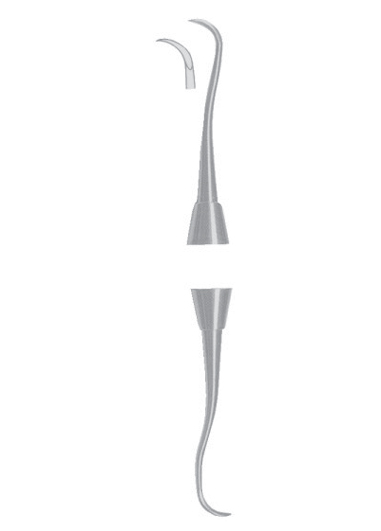 AI-DM-1517