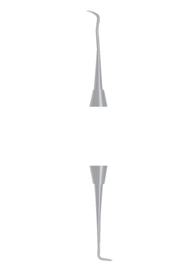 AI-DM-1529