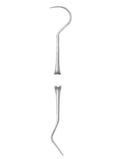 AI-DM-1556
