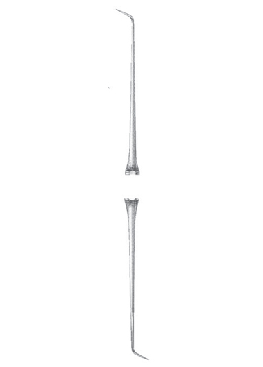 AI-DM-1558