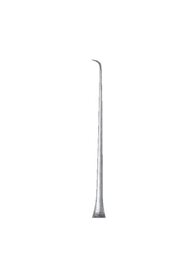 AI-DM-1581