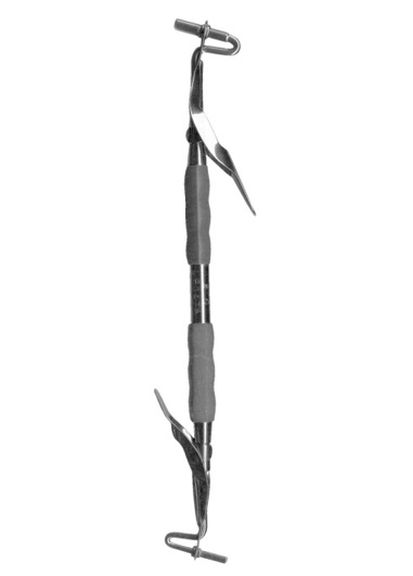 AI-DM-2229