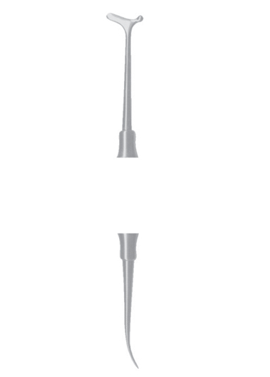 AI-DM-1796