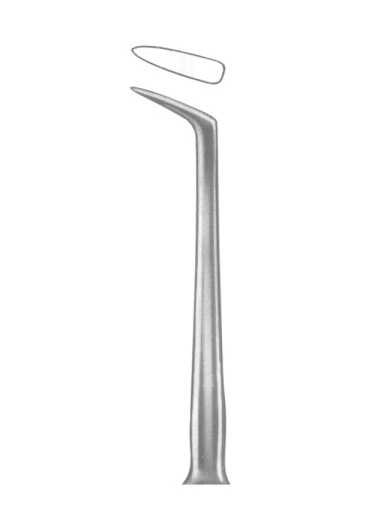 AI-DM-1384