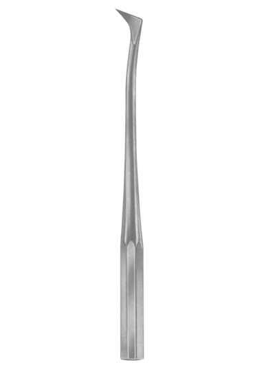 AI-DM-1419