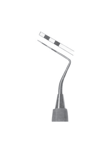 AI-DM-1753