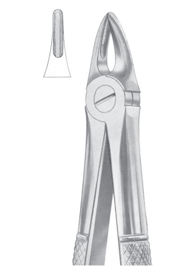 AI-DM-1024