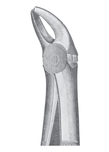 AI-DM-1118