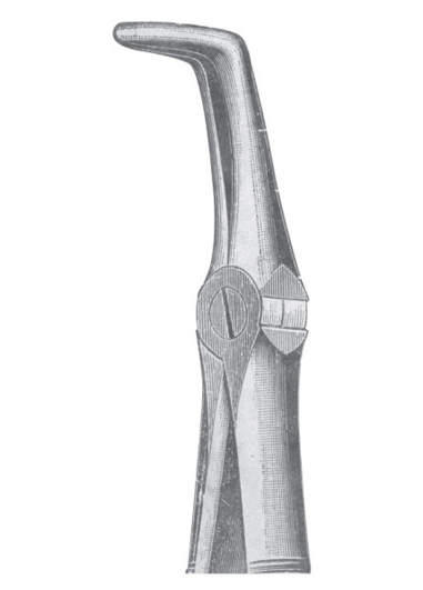 AI-DM-1131