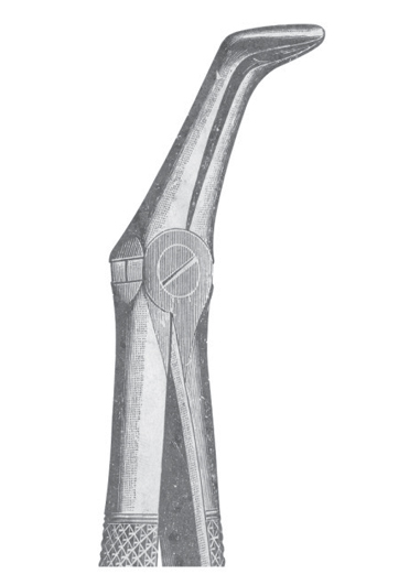 AI-DM-1132