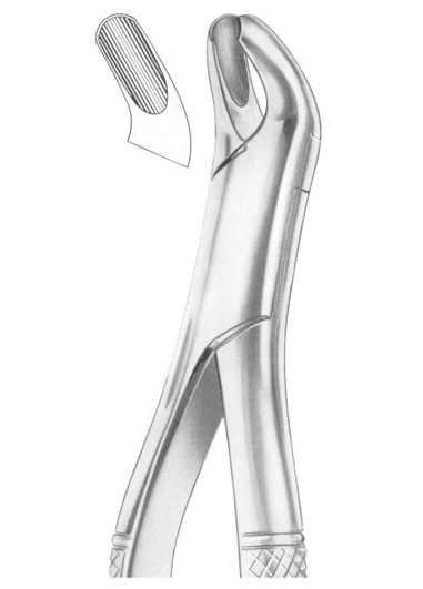 AI-DM-1238
