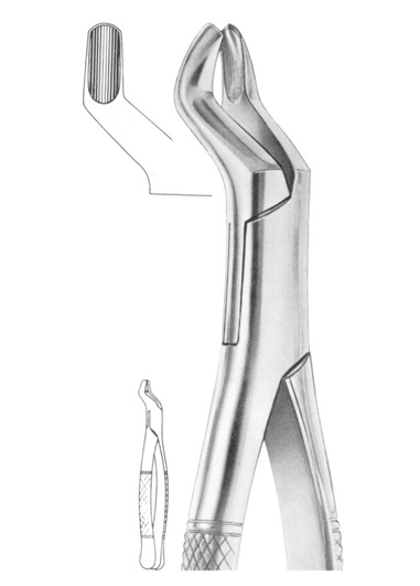 AI-DM-1255
