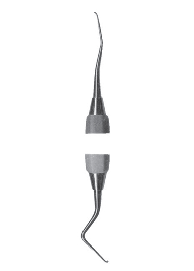AI-DM-2081