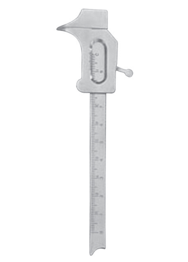 AI-DM-2219
