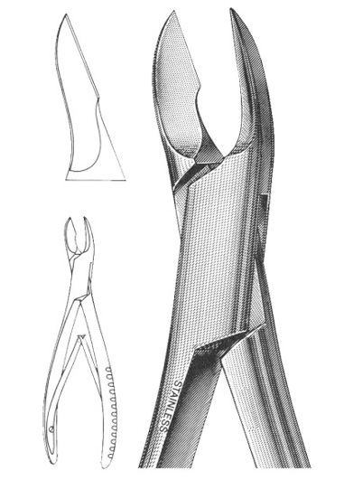 AI-DM-2556