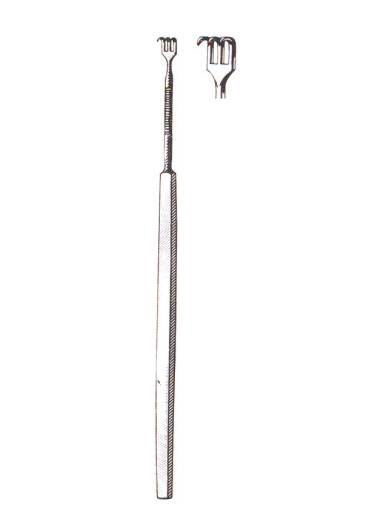 AI-DM-2441