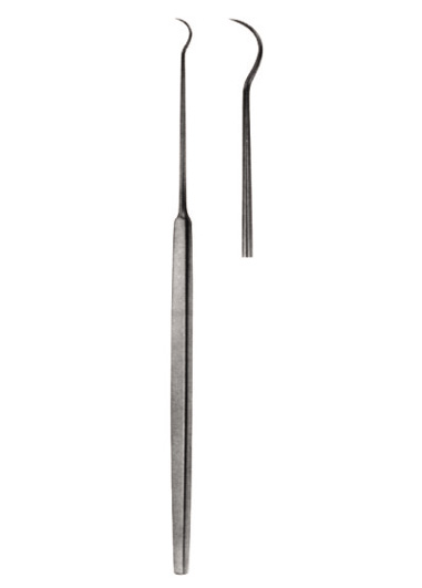 AI-DM-2447