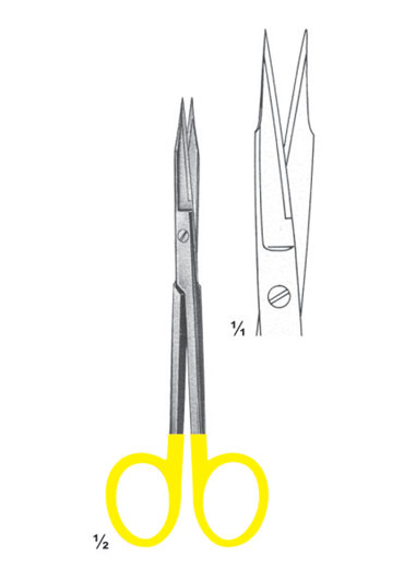 AI-DM-2831