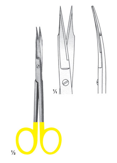 AI-DM-2833
