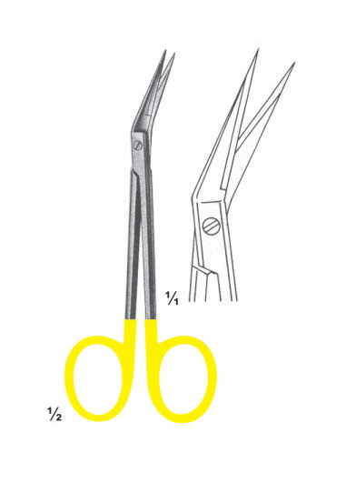AI-DM-2835