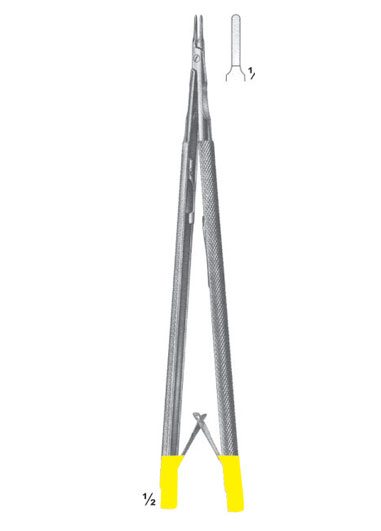 AI-DM-2856