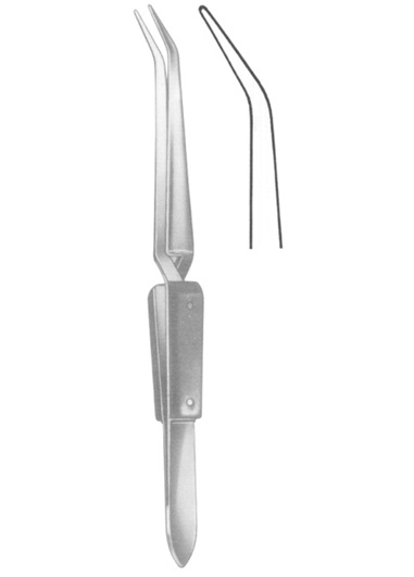 AI-DM-2368