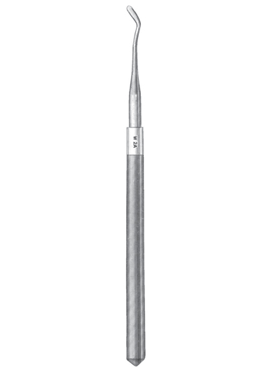 AI-DM-2007